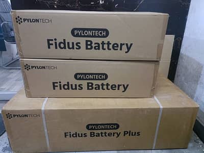 FB-L-5.12 (Pylontech Fidus) Li Ion Battery