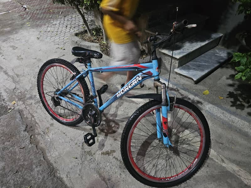 bi cycle 2
