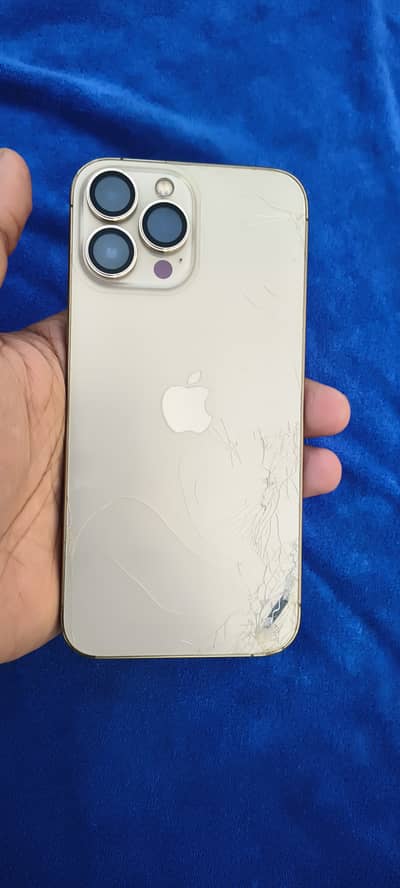 Apple iPhone 13 Pro Max