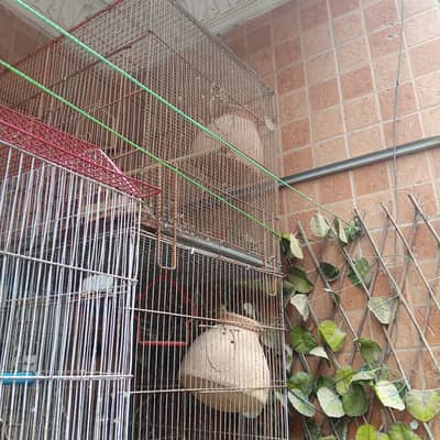 cages