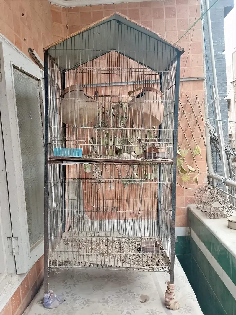 cages — photo 3
