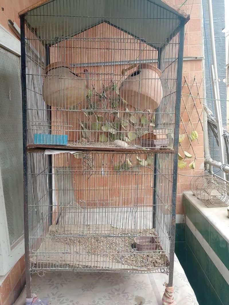 cages 3