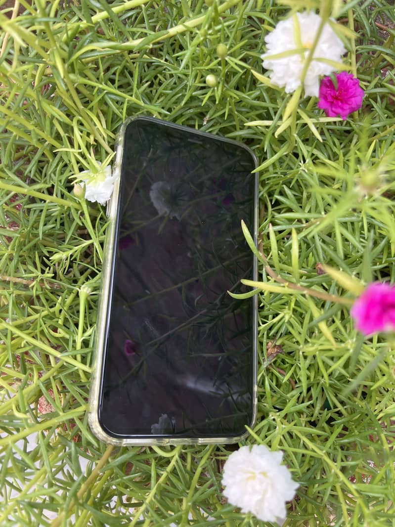 Apple iPhone 11 1