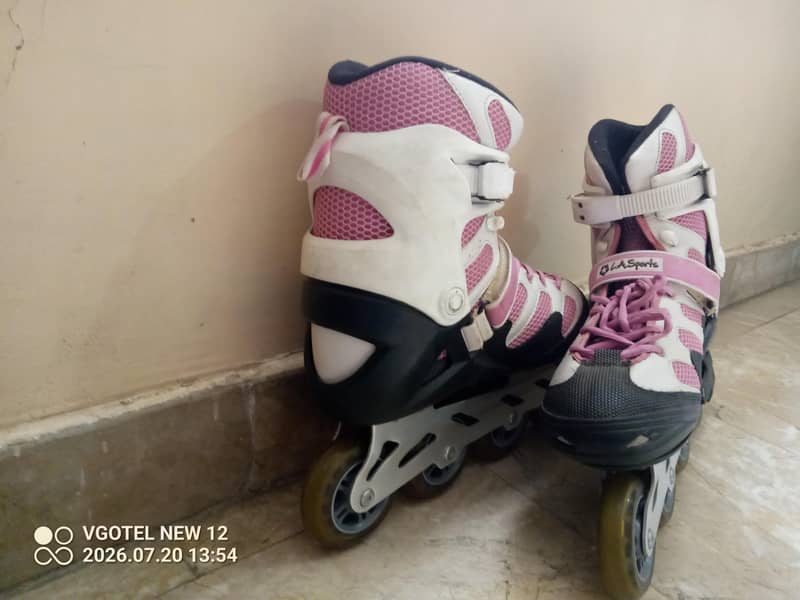 skates 1