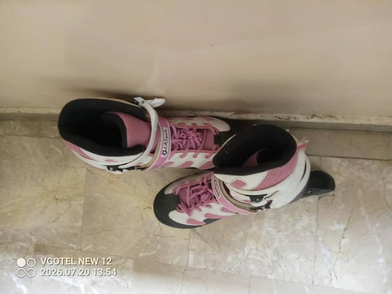 skates 2