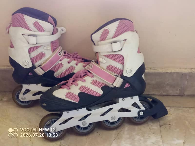 skates 3