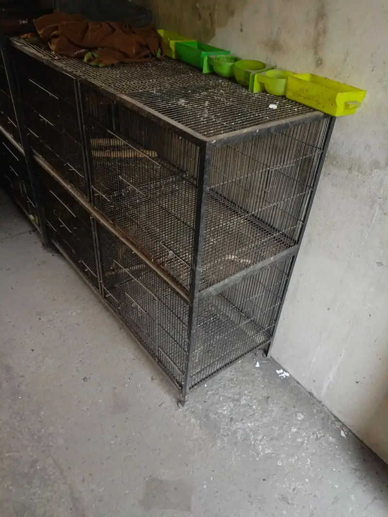 Iron Cage 4 portion — photo 2
