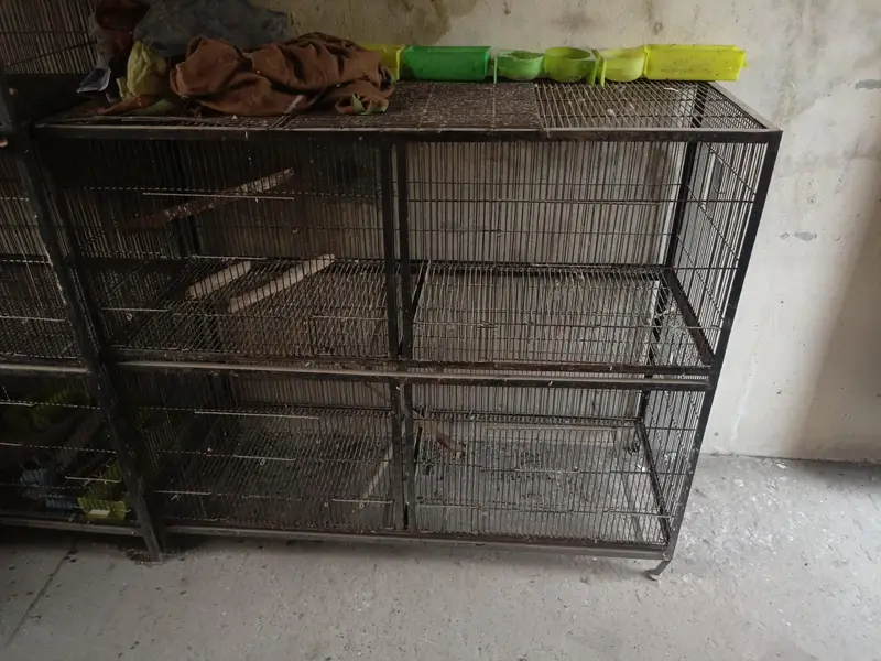 Iron Cage 4 portion — photo 3