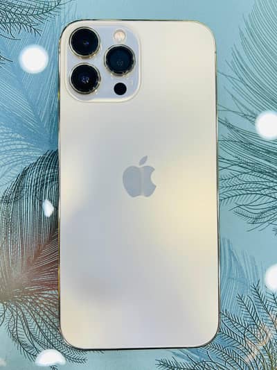 Apple iPhone 13 Pro Max