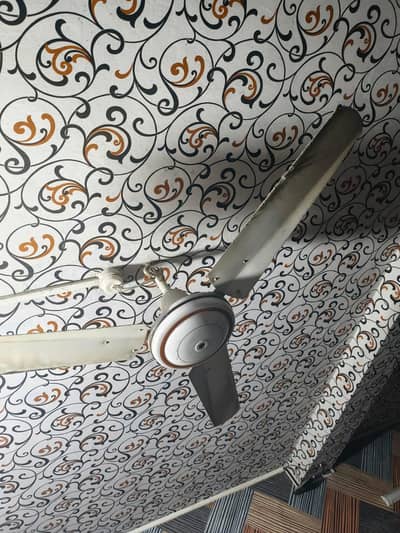 Fans used