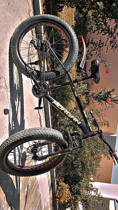 mountain bike cycle avilbe