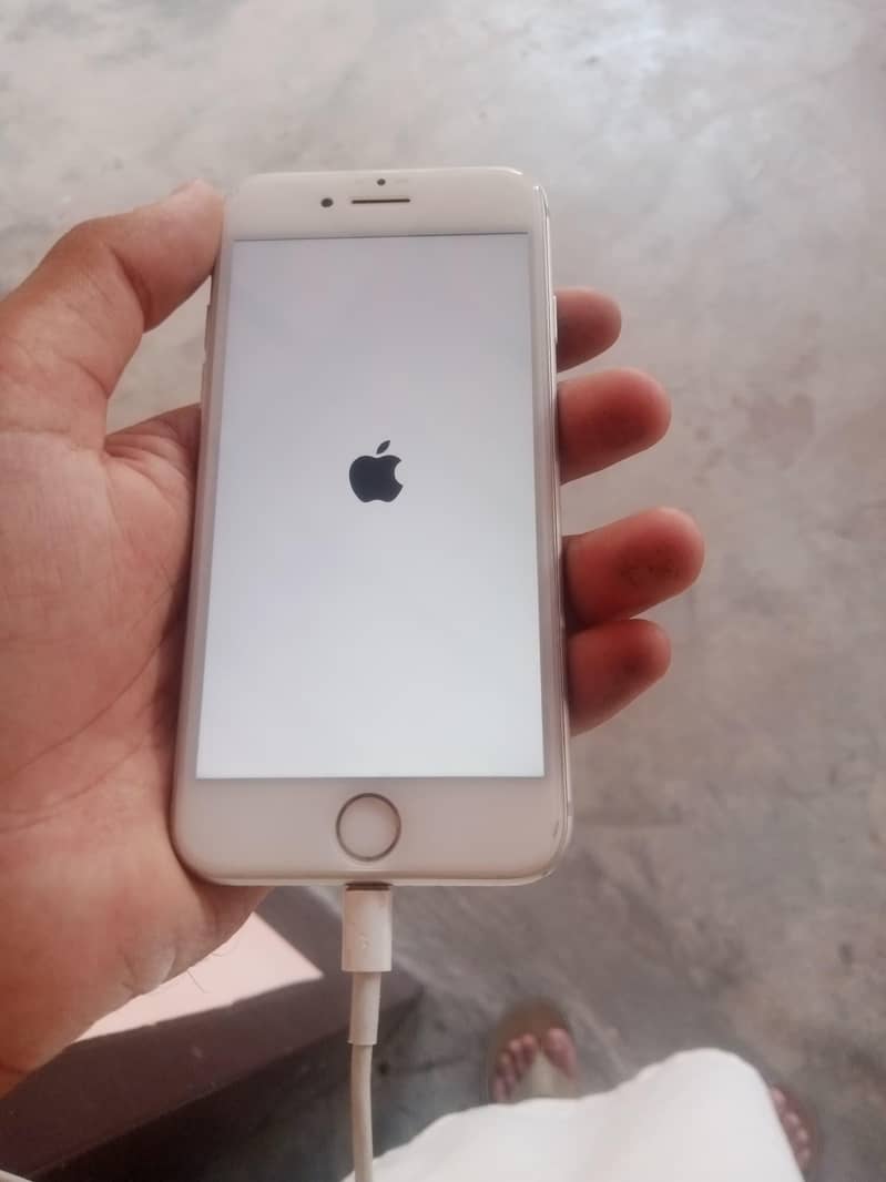 Apple iPhone 7 1
