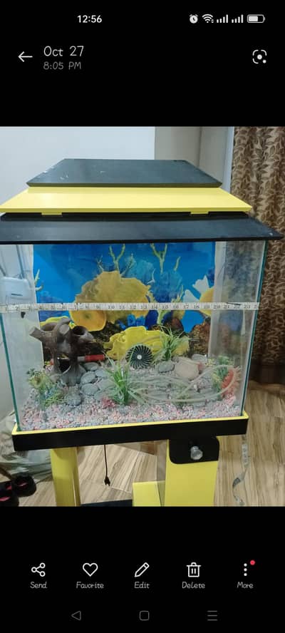 aquarium