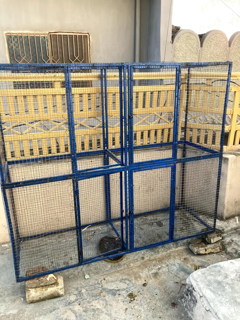 Flying cage for birds — photo 2