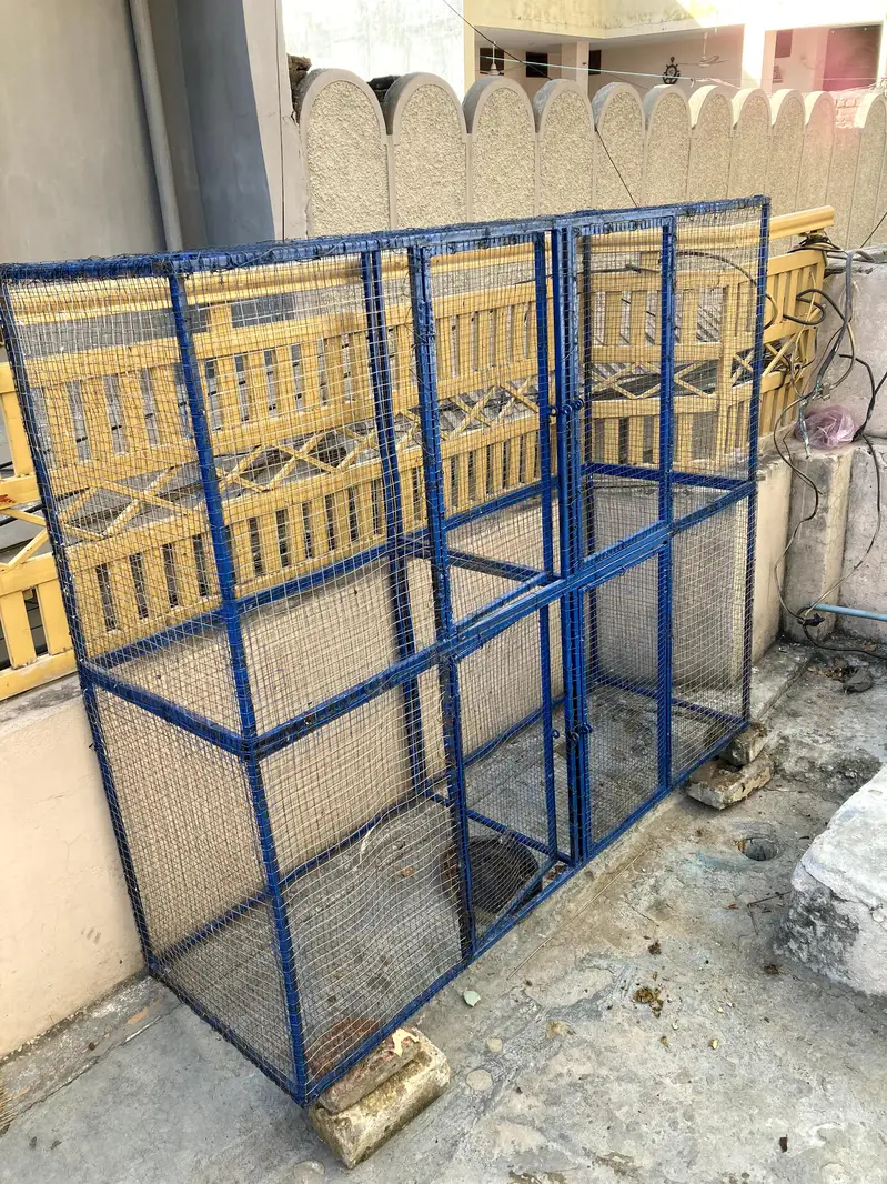 Flying cage for birds — photo 3