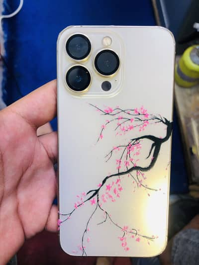 Iphone 13 pro dual pta