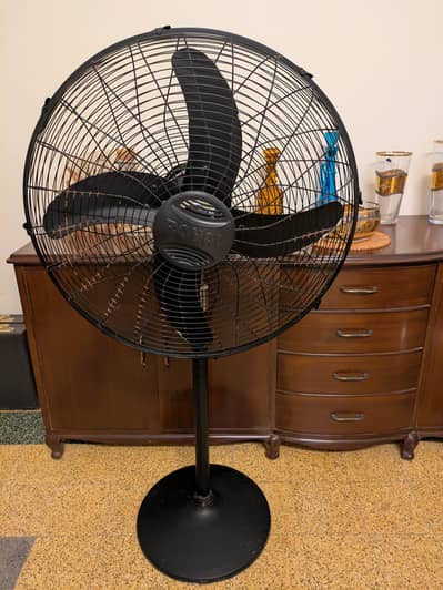 Royal Pedestal Fan 24"