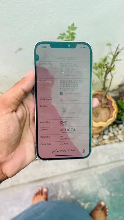 Apple iPhone 12 Pro Max