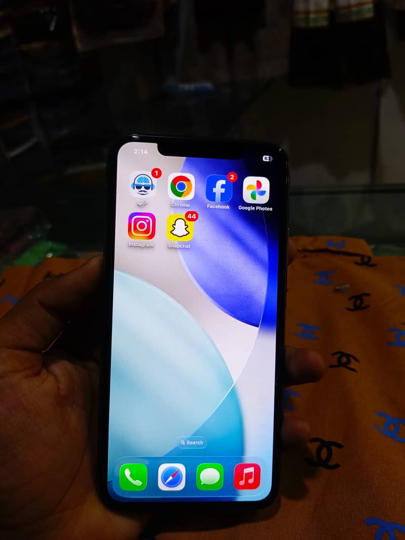 Apple 10