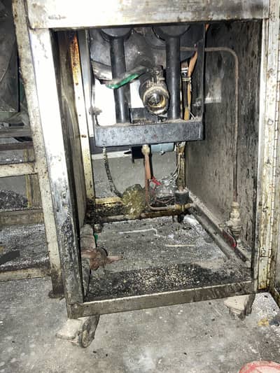 Fryer 16 Ltr