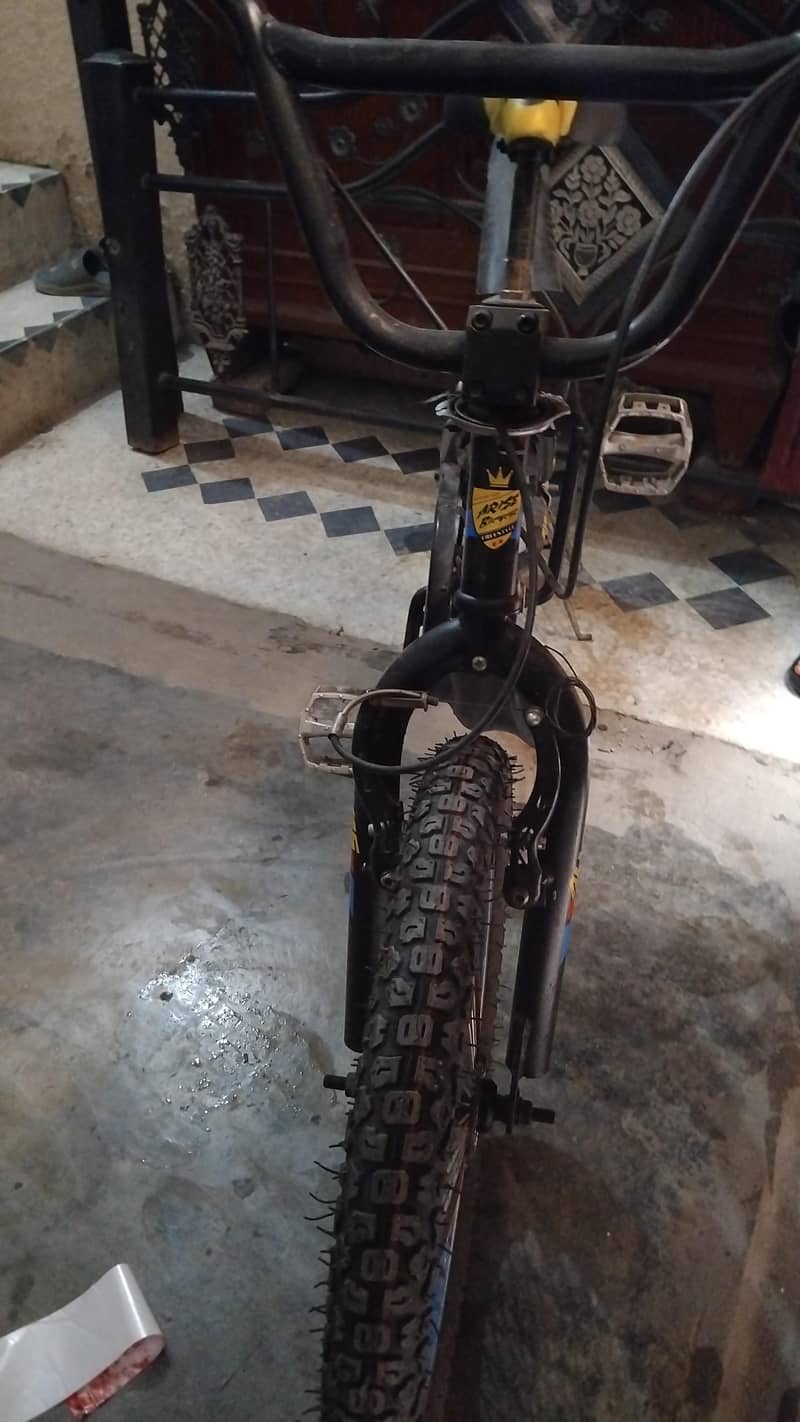 Bicycle 1