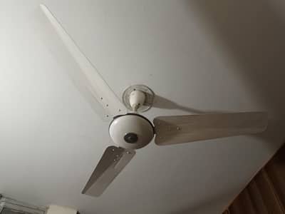 Pak Fan