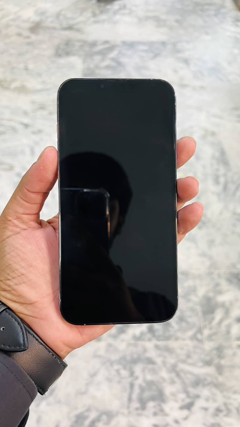Apple iPhone 13 Pro Max 2