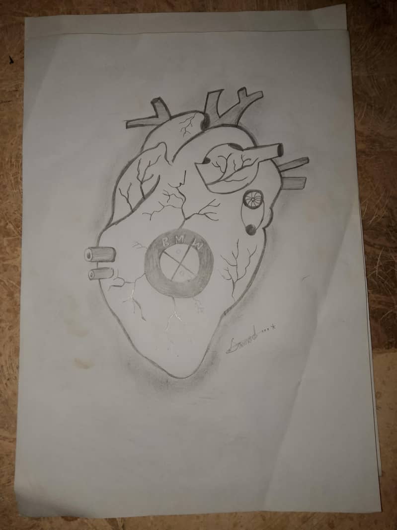 sketch master 5