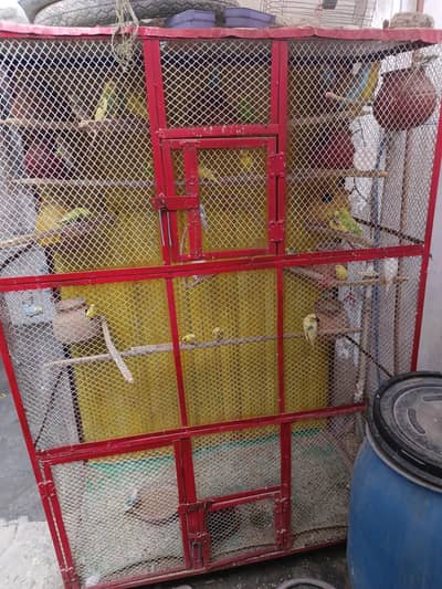 Cage And badgies for sell