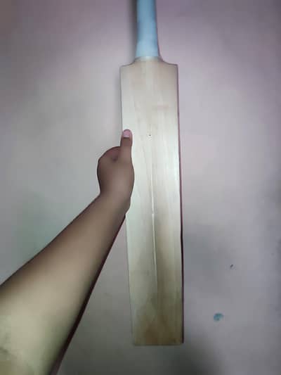 new plane English willow bat with 5 grains