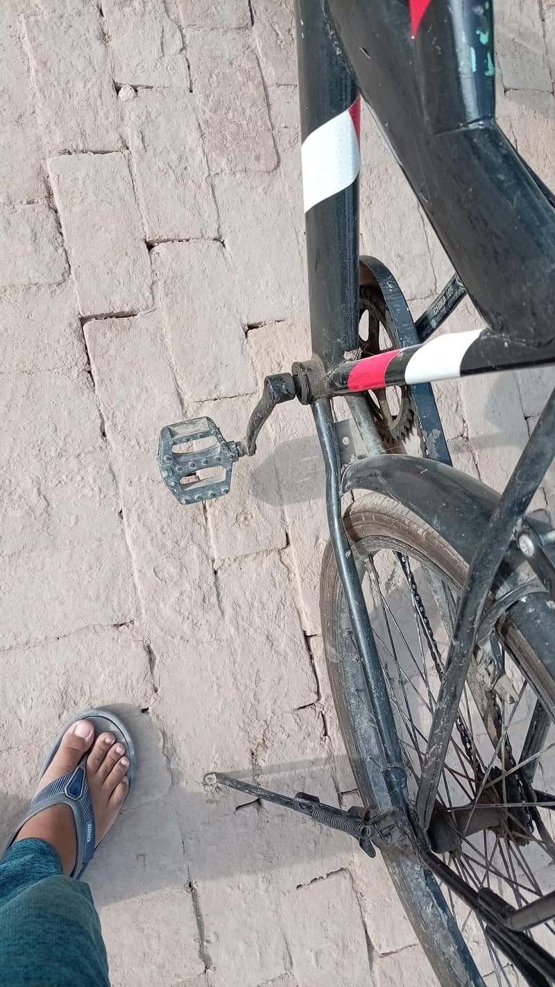 china cycle 2