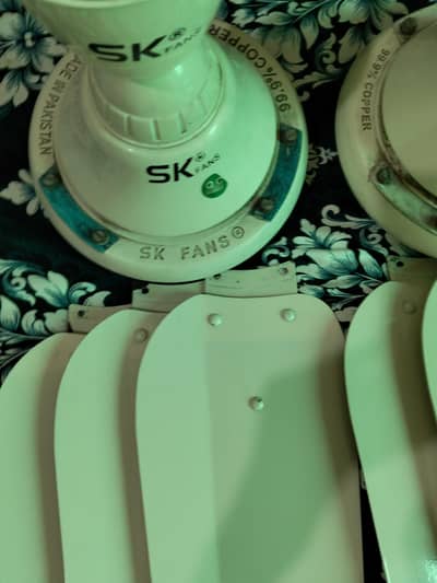 SK Fans 03-Number