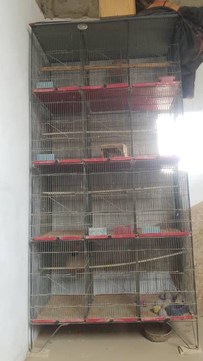 cage for sale urgent cash