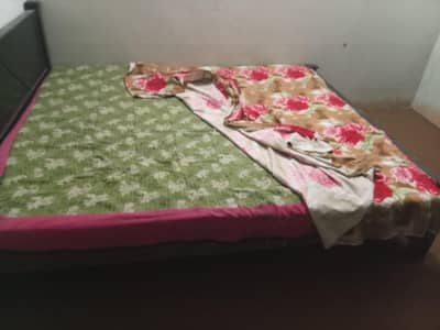 dable bd ha wooden with matras