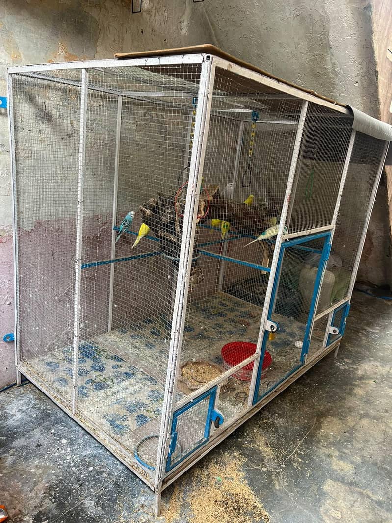 Big Size Cage 0