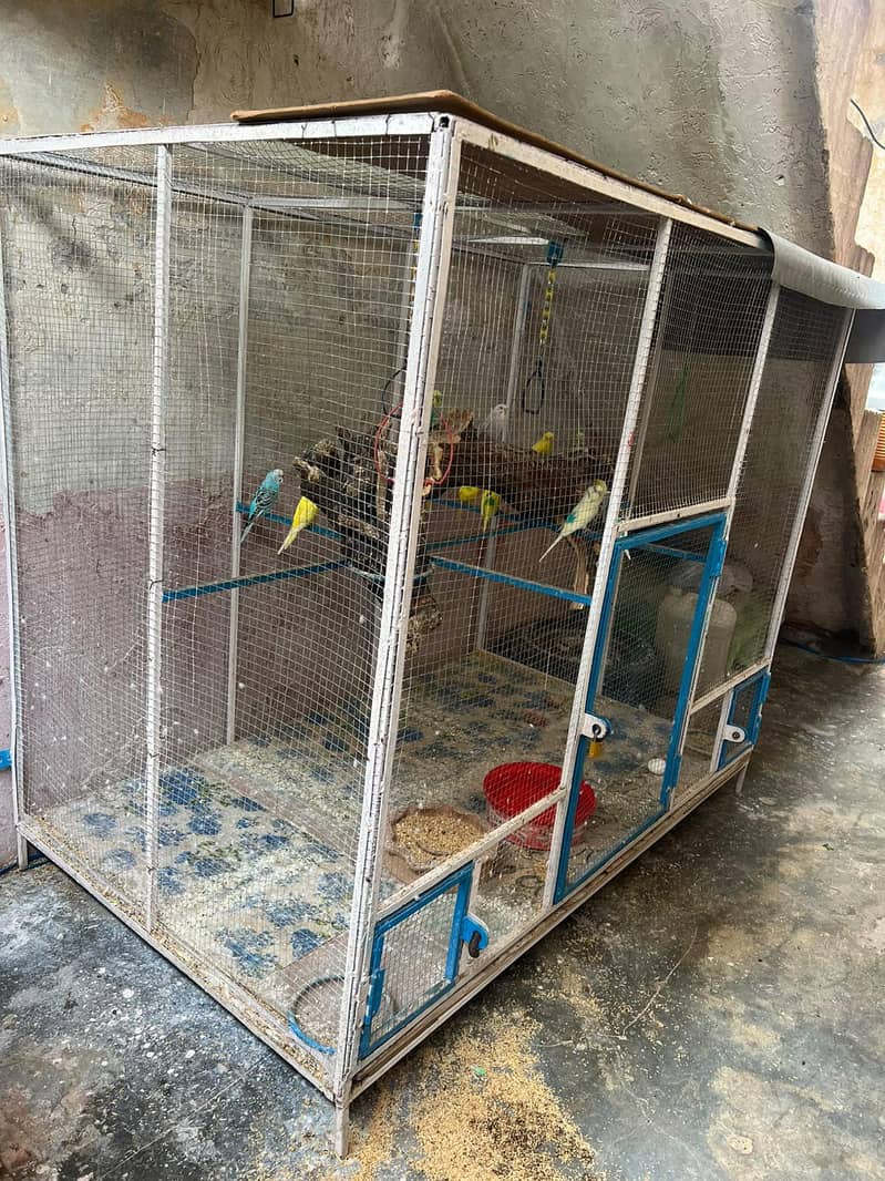 Big Size Cage 1