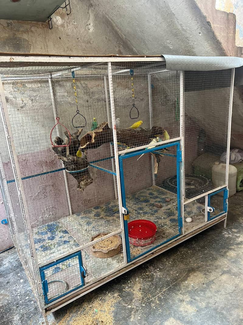 Big Size Cage 2