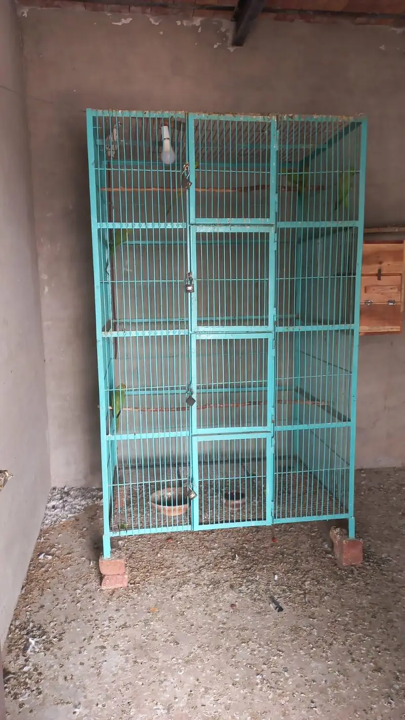 cage for sale — photo 2