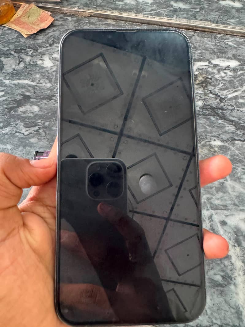 iPhone 13 Pro Max 10