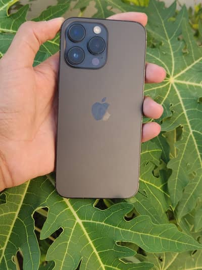 iPhone 14 Pro Max