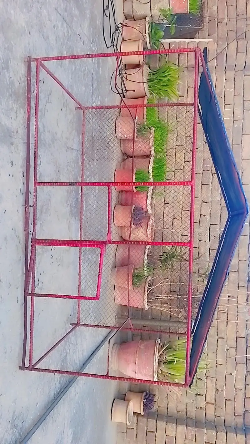premium cage for sale — photo 6