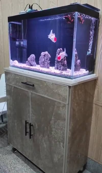 Decent Fish Aquarium