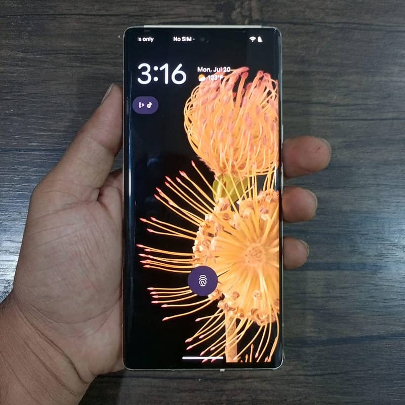 Google Pixel 6 Pro 1