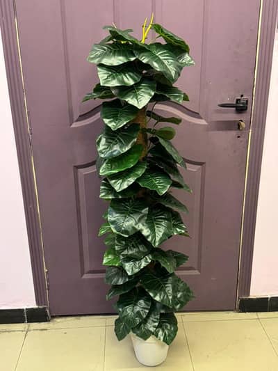 artificial plants / washable/ home decor / 03227614339