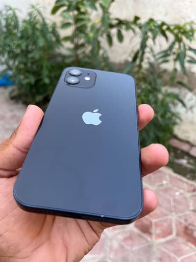 Apple iPhone 12