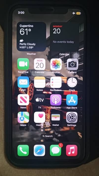 Apple iPhone X