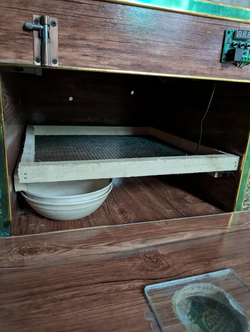 Incubator — photo 2