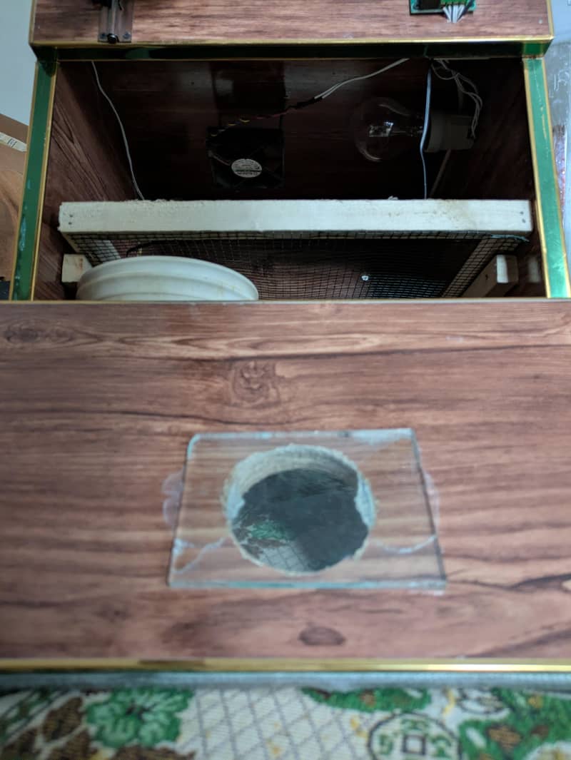 Incubator 4