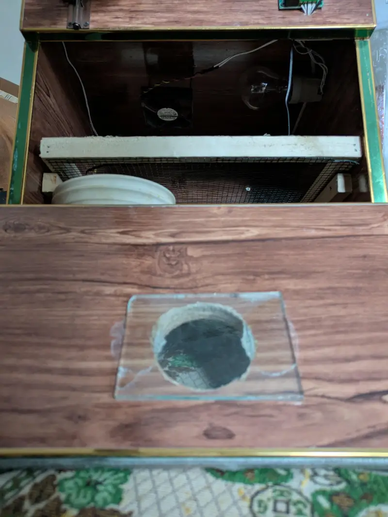 Incubator — photo 5