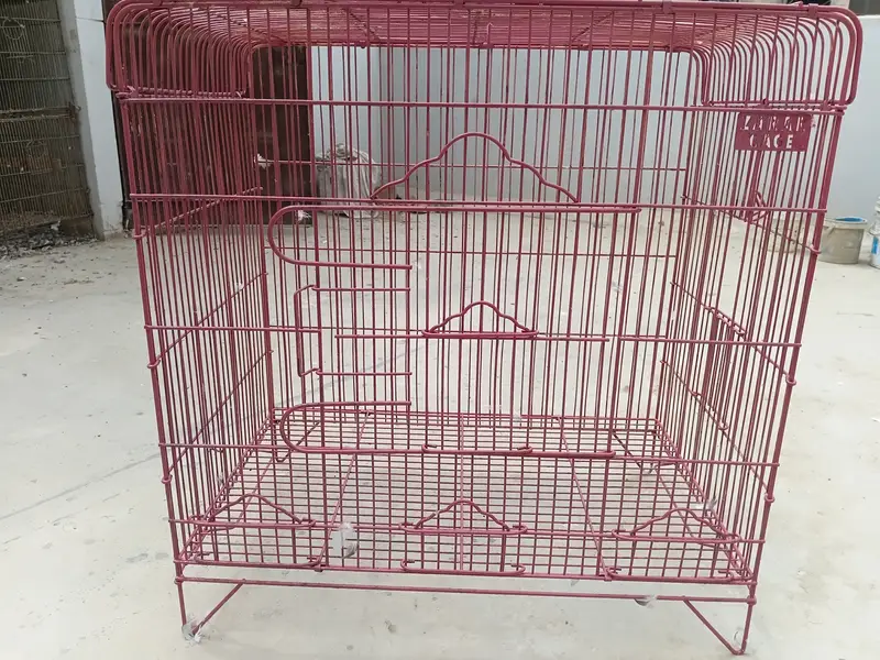 New cages
